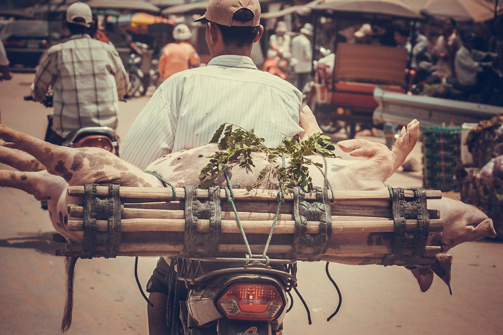cambodia-17.jpg